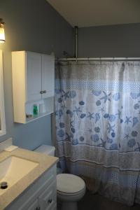 a bathroom with a toilet and a shower curtain at Tropical Cottages in Marathon