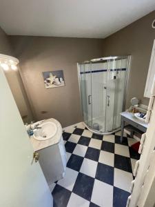 ヴェリエ・デュ・ラックにあるMaison avec Piscine LAC d'ANNECY - proximité Plage VEYRIER DU LACのシャワーと洗面台付きのバスルーム