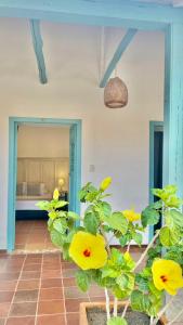 Fotografie z fotogalerie ubytování Camino a Santa Fe v destinaci Guaduas