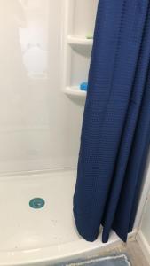 een douche met een blauw douchegordijn in de badkamer bij cozy room with private bathroom in Arlington