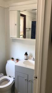 een badkamer met een toilet, een wastafel en een spiegel bij cozy room with private bathroom in Arlington