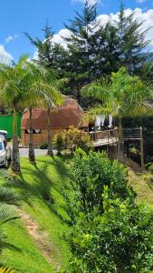 einen Hof mit Palmen und einem Haus in der Unterkunft Unique Glamping / Domo Betsaida in Guatapé