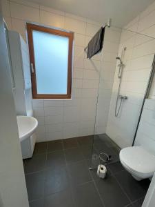 a bathroom with a toilet and a glass shower at Camping Hierhold in Kumberg
