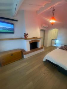 ein Schlafzimmer mit einem Bett und einem Kamin in der Unterkunft I Ponti Canal House in Sanzinnen
