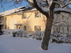 Chambres d'Hôtes Le Clos Du Verger في Cattenom: منزل مغطى بالثلج مع شجرة أمامه