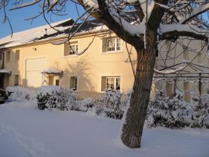 ein schneebedecktes Haus mit einem Baum davor in der Unterkunft Chambres d'Hôtes Le Clos Du Verger in Cattenom