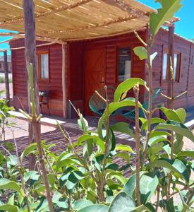 una piccola cabina in legno con tenda da sole e pianta di Cabaña Cachi a Cachí