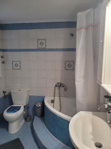 La salle de bains est pourvue de toilettes, d'une baignoire et d'un lavabo. dans l'établissement City Center Apartment, à Árta