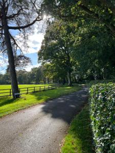 una carretera en un parque con árboles y una valla en The Loft, Steep, Petersfield in Collyers Estate part of The South Downs National Park., en Petersfield