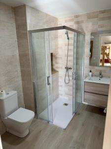 a bathroom with a shower and a toilet and a sink at Alameda Amable in La Zarza de Pumareda