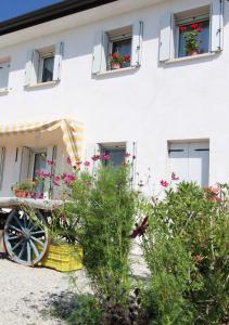 Zahrada ubytování Casa Vilma