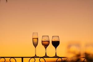 Bebidas em Spa do Vinho Condomínio Vitivinícola