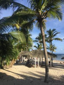 Naturlandskabet i nærheden af lejligheden