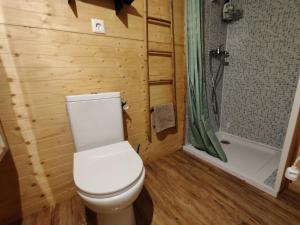 uma casa de banho com um WC branco e um chuveiro em Gite proche Côté fleurie em Martainville