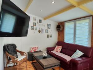 uma sala de estar com um sofá e uma televisão em Gite proche Côté fleurie em Martainville