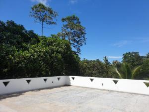 Zahrada ubytování CoCoSuRf House, Luxury among palms