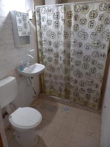 a bathroom with a toilet and a shower curtain at ALQUILER TEMPORARIO LU-KA in Roque Sáenz Peña