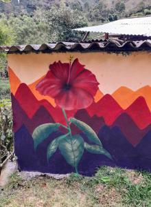 Jardí fora de Secretos del Eden