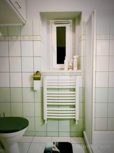 ein Bad mit einem grünen WC und einem Fenster in der Unterkunft Apartament w Złotym Stoku Przystanek Las in Złoty Stok