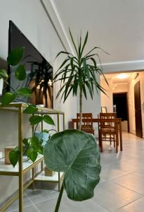 een woonkamer met een grote groene plant bij SnappyB - Colours in Alexandroupoli