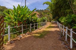 Jardí fora de Secretos del Eden