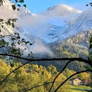 Príroda v okolí apartmánu