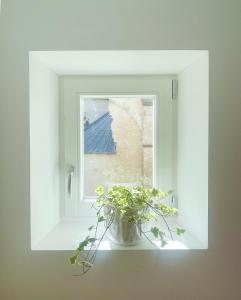 a window with a potted plant on a window sill at Place Sainte Marguerite in Provins