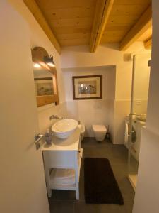 La salle de bains est pourvue d'un lavabo et de toilettes. dans l'établissement Pedegagia, à Vezzano