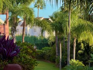 Vonkajšia záhrada v ubytovaní Apartamento Marbella Alicate Beach