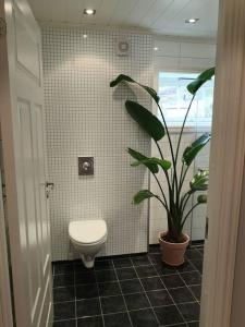 a bathroom with a toilet and a potted plant at Aurlandsfjord Panorama in Aurland