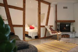 a living room with a couch and a fireplace at Haus Wiese & Lagune in Ettenheim