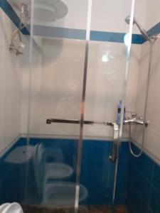 a bathroom with a glass shower with a toilet at Elio's Holiday Home in Pogradec