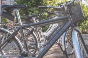 a group of bikes parked next to each other at De Lanterfanters Vakantiehuisjes in Nieuwpoort