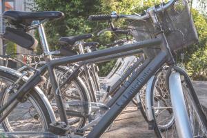 Cycling sa o sa paligid ng De Lanterfanters Vakantiehuisjes