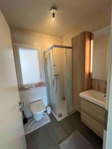 La salle de bains est pourvue d'une douche, de toilettes et d'un lavabo. dans l'établissement Au Cœur du Vignoble Valaisan, à Saint-Léonard