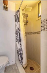 a shower curtain in a bathroom with a toilet at Habitación jazmín in Cuernavaca