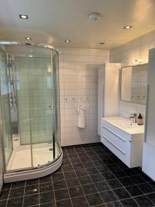 a bathroom with a shower and a sink at Aurlandsfjord Panorama in Aurland