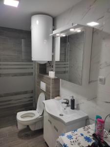 La salle de bains blanche est pourvue de toilettes et d'un lavabo. dans l'établissement Apartman Petra, à Niš