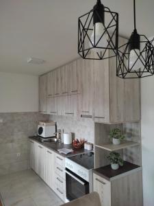 a kitchen with wooden cabinets and a black chandelier at Apartman Petra in Niš