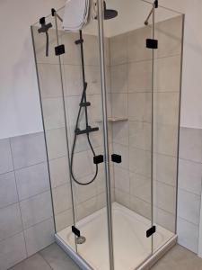 a shower with a glass door in a bathroom at Ferienbauernhof Ennenhof in Schneverdingen