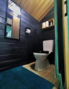 a bathroom with a toilet and a blue rug at Struikheide 11 in Bergen op Zoom