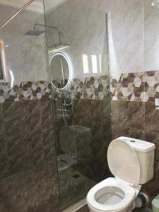 東勒貢的住宿－S.K PLAZA，一间带卫生间和玻璃淋浴间的浴室
