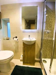 ein Bad mit einem WC, einem Waschbecken und einer Dusche in der Unterkunft Stunning Coastal Cottage with free parking - easy stroll to town & beach in Aldeburgh