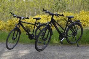 two bikes parked next to each other on a trail at Ferienwohnung Kleine Auszeit in Graal-Müritz