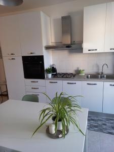 a white kitchen with a potted plant on a table at Al Parco - Appartamento in Negrar