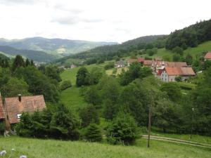 un village sur une colline verdoyante avec des maisons et des arbres dans l'établissement Gîte Breitenbach-Haut-Rhin, 3 pièces, 5 personnes - FR-1-744-42, à Breitenbach-Haut-Rhin