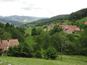 a village in a green hillside with houses and trees at Gîte au calme avec 2 chambres, terrasse, jardin, BBQ et parking inclus à Breitenbach-Haut-Rhin - FR-1-744-42 in Breitenbach-Haut-Rhin