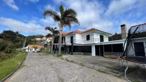 a palm tree in front of a white house at Hollywood villa in Campanário