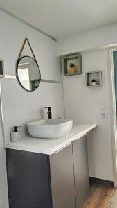 uma casa de banho com um lavatório e um espelho num balcão em Charmant Studio Cosy em Plaisance-du-Touch