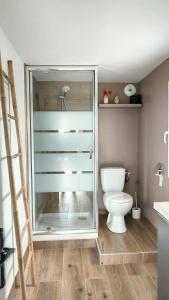 W łazience znajduje się przeszklony prysznic i toaleta. w obiekcie Charmant Studio Cosy w mieście Plaisance-du-Touch